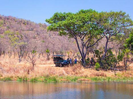 Metsi Lodge Велґевонден-Ґейм-Резерв Екстер'єр фото